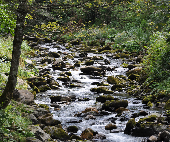 Fischzucht Zankl